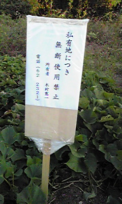 活動報告＋α