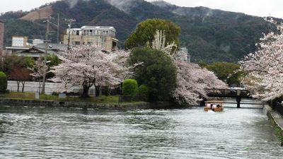岡崎桜回廊十石舟