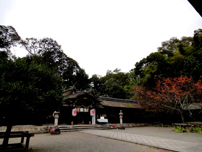秋ならではの平野神社