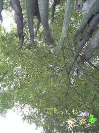 2008年09月18日
