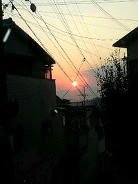 2008年12月04日