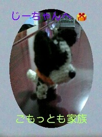 2009年04月23日
