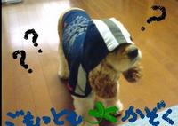 2008年10月31日