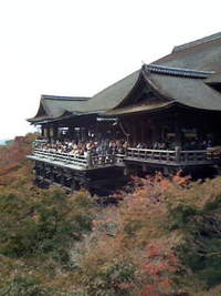 ベタな京都観光