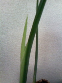 気持ちに余裕を