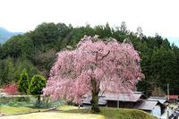 4月12日の記事