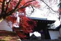 まんじゅいん、吉田神社