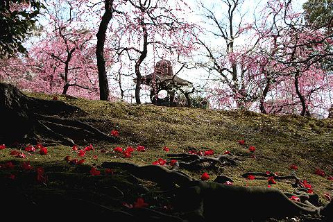 kyoto