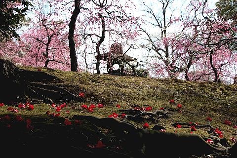 kyoto