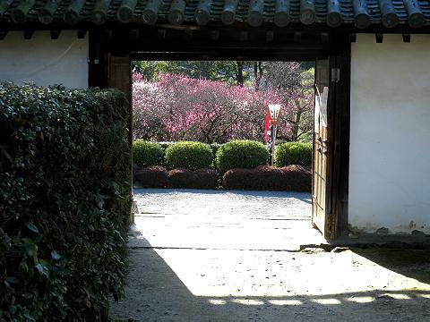 京都タワー