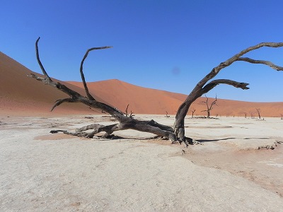 ナミビア旅行5日間（2日目）　赤い砂漠を歩く！