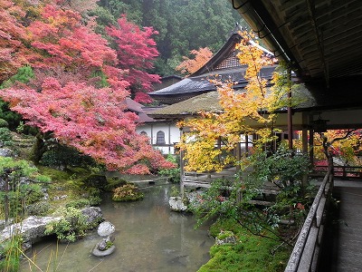 京都京北、常照皇寺の紅葉を訪ねて