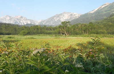 夏山登山　朝日に映える栂池自然園と白馬岳