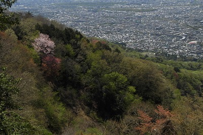 京都一周トレイル　比叡山～大文字山を歩く