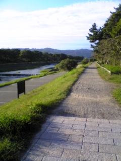半木の道（なからぎのみち）【京都で一番オススメの観光スポット集】