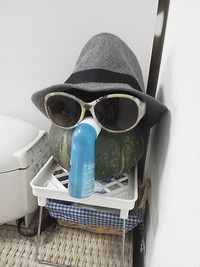 楽しい毎日