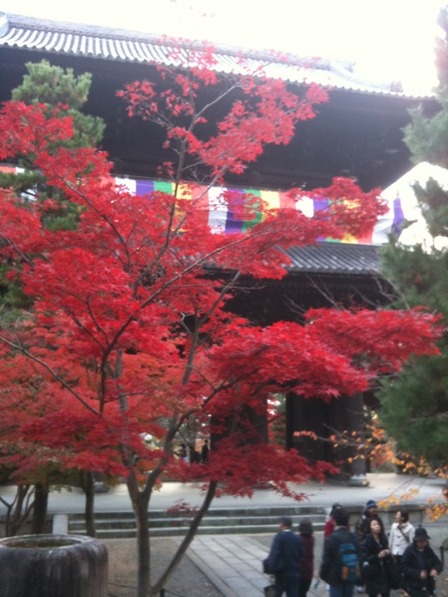 そうだ 京都、行こう。～金戒光明寺～