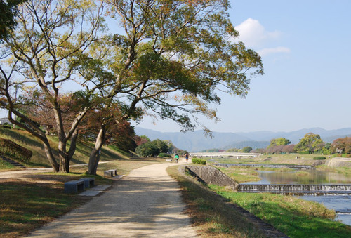 賀茂川・秋の景色