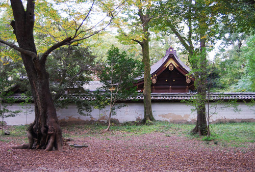 下鴨神社の糺の森