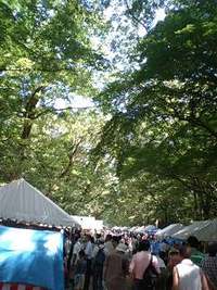 下鴨納涼古本まつり 2007/08/11 10:05:34