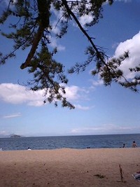 夏休み携帯日記8 2007/08/13 12:31:00