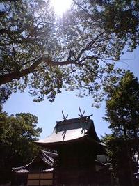 夏休み携帯日記9 2007/08/14 10:00:00