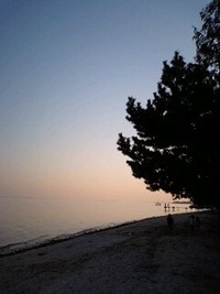 秋のキャンプ２ 2007/11/24 16:15:01