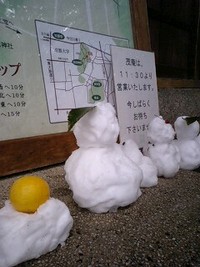 雪の茂庵 2008/02/24 11:17:30