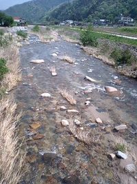 ＧＷ釣り日記２ 2008/05/03 10:55:00