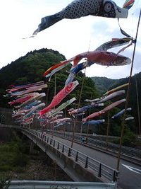 ＧＷ釣り日記６ 2008/05/05 08:28:00