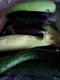 夏野菜 2008/06/21 14:32:37