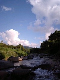 夏の釣り日記３ 2008/07/20 17:47:17