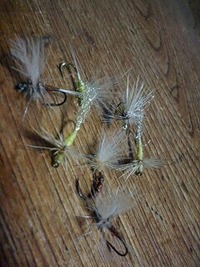 ＧＷ釣行１ 2010/05/01 21:33:42