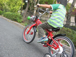 自転車と息子