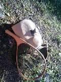 夏のキャンプ釣行４ 2011/07/17 17:29:51