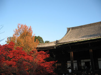真如堂の紅葉 2007/11/26 21:39:47