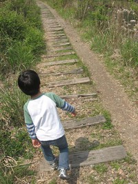 廃線ハイキング記 2008/04/29 01:08:34