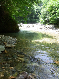 夏の源流と尺イワナ 2010/07/29 01:44:13