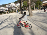 玉をとって走る 2009/02/10 02:22:23