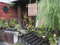 雨後の「猫町」 2007/10/09 03:49:00