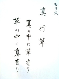 お茶のお勉強