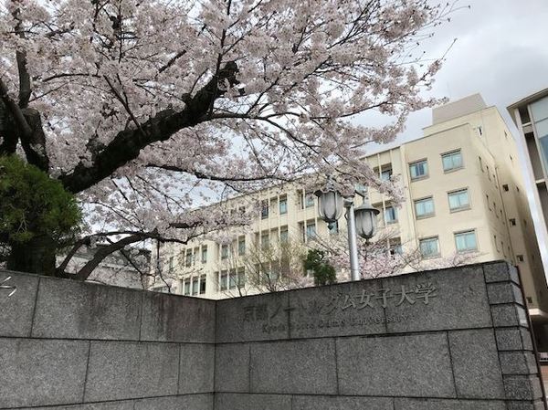 正門と桜