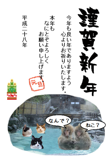 本日の一枚 ~のらとホルスと田中さん～