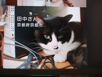 本日の一枚　～田中さん～