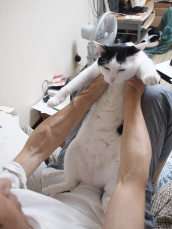本日の一枚