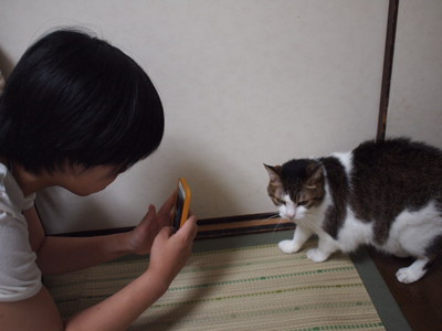 　本日の一枚　～のらとホルスと田中さん～