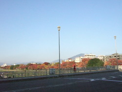 小春日和