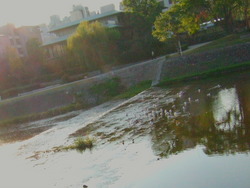小春日和