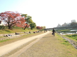 小春日和