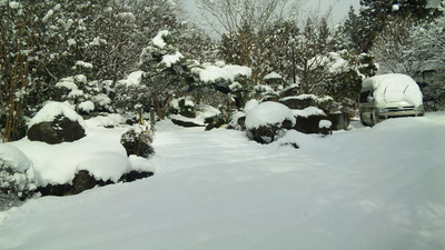 商売繁盛　雪持って来い！？